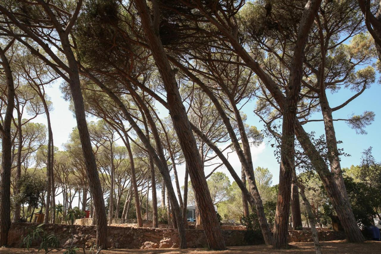 Camping 3 Estrellas Costa Brava Валь-льобрега Экстерьер фото